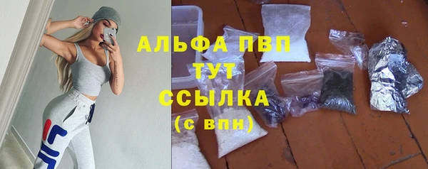 стаф Заводоуковск