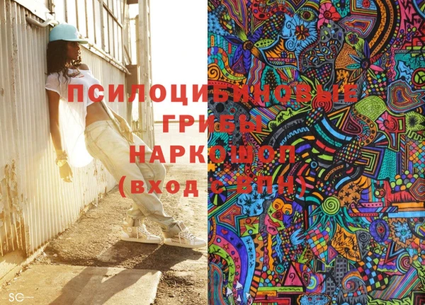 гашик Заволжье
