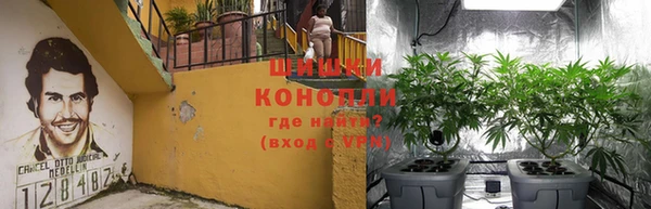стафф Зерноград