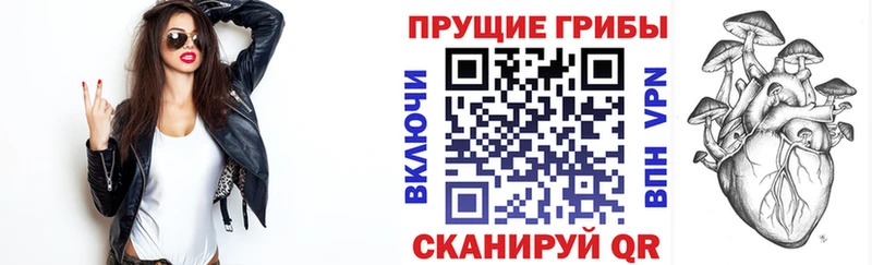 Галлюциногенные грибы мицелий  Керчь 